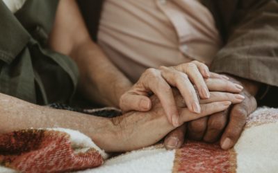 DISCIPLINARY APPEAL OF TERMINATION STILL POSSIBLE AFTER RETIREMENT