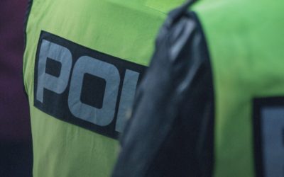 UNDERSTANDING THE DYNAMICS OF SUDDEN IN-CUSTODY DEATHS