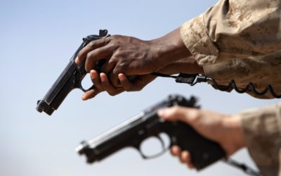 Young v. State of Hawaii (and others)